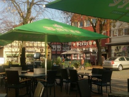 Foto: Die Knolle